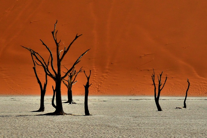 Deadvlei