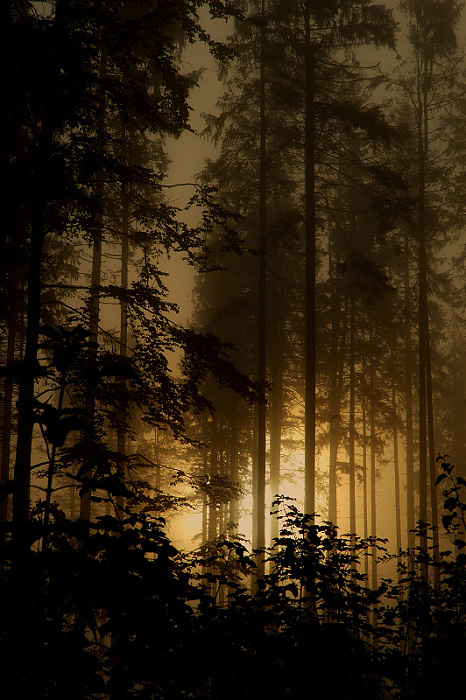 Muráňská planina po noční bouřce