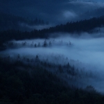 Noční mlha u Křinice